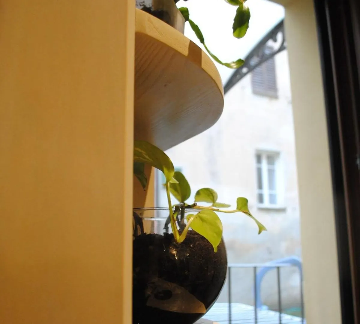 Sun Flowers House Pitigliano Apartment